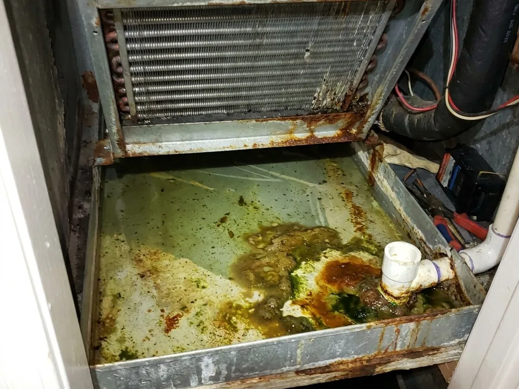 An AC drain pan full of standing water, sludge and rust